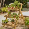 Acacia Plant Stand