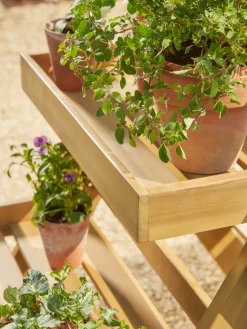 Acacia Plant Stand