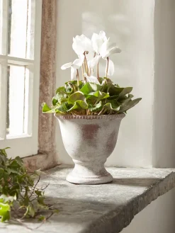 Aged Effect Ceramic Planter