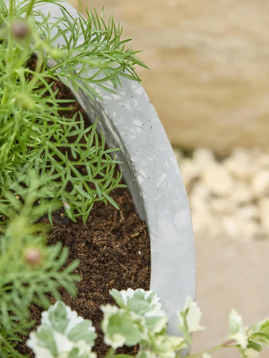 Alder Planter