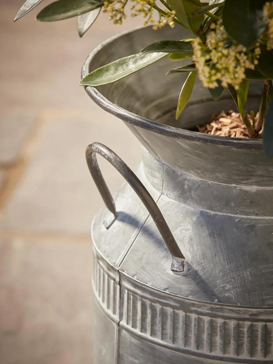 Antique Zinc Milk Churn