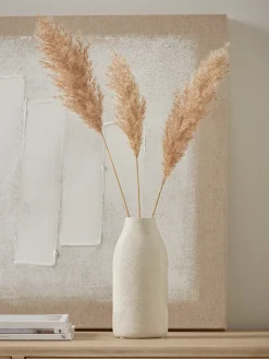 Cala Vase