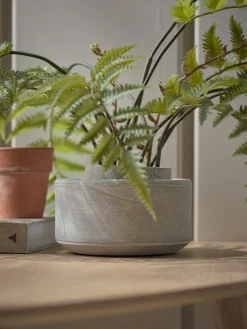 Cement Planter