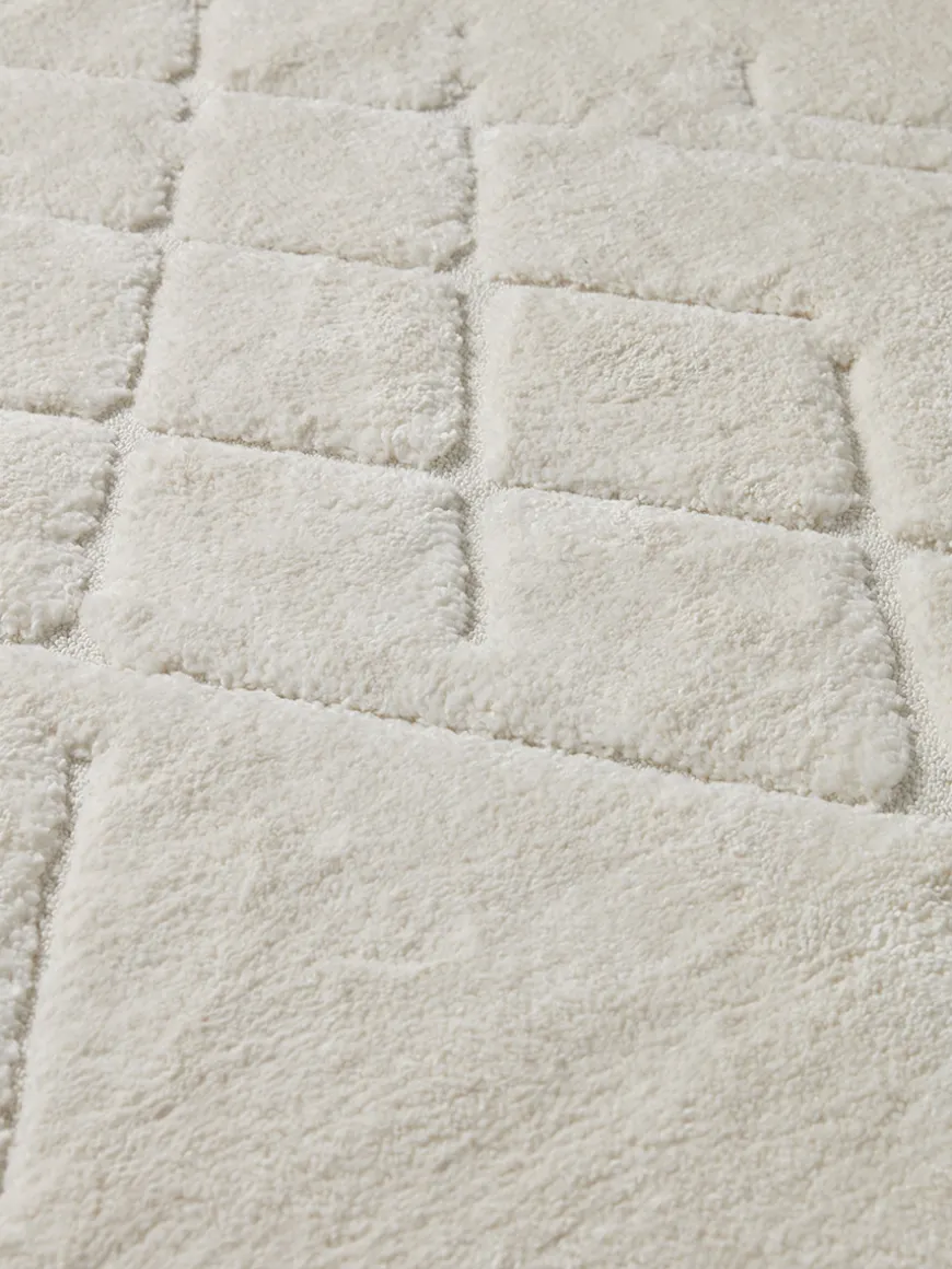 Claudia Rug