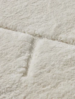 Claudia Rug