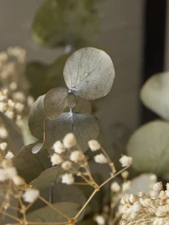 Dried Eucalyptus & Gypsophila Bouquet
