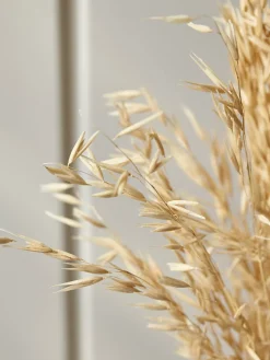 Dried Oat Bouquet