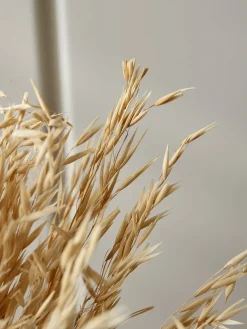Dried Oat Bouquet