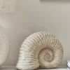 Faux Ammonite