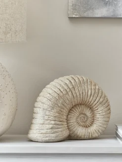 Faux Ammonite