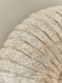 Faux Ammonite