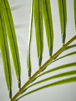Faux Potted Butterfly Palm