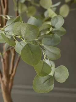 Faux Potted Eucalyptus - Large
