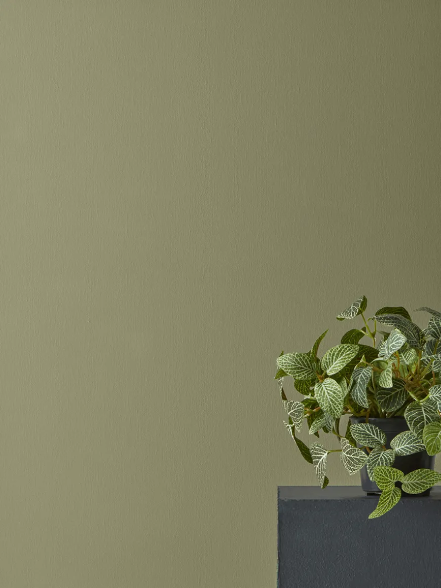 Faux Potted Fittonia