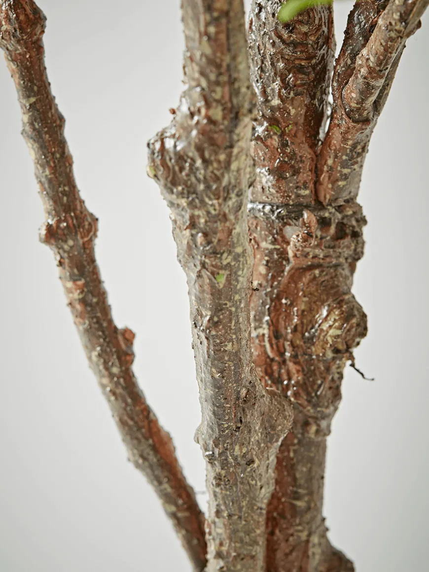 Faux Potted Fruiting Fig Tree