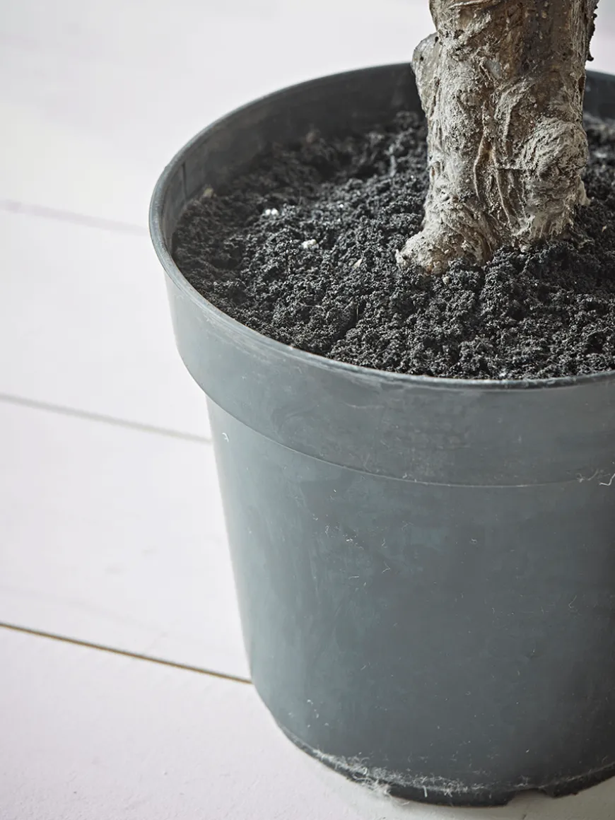 Faux Potted Fruiting Fig Tree