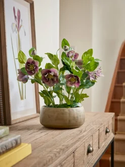 Faux Potted Hellebore - Dusky Mauve