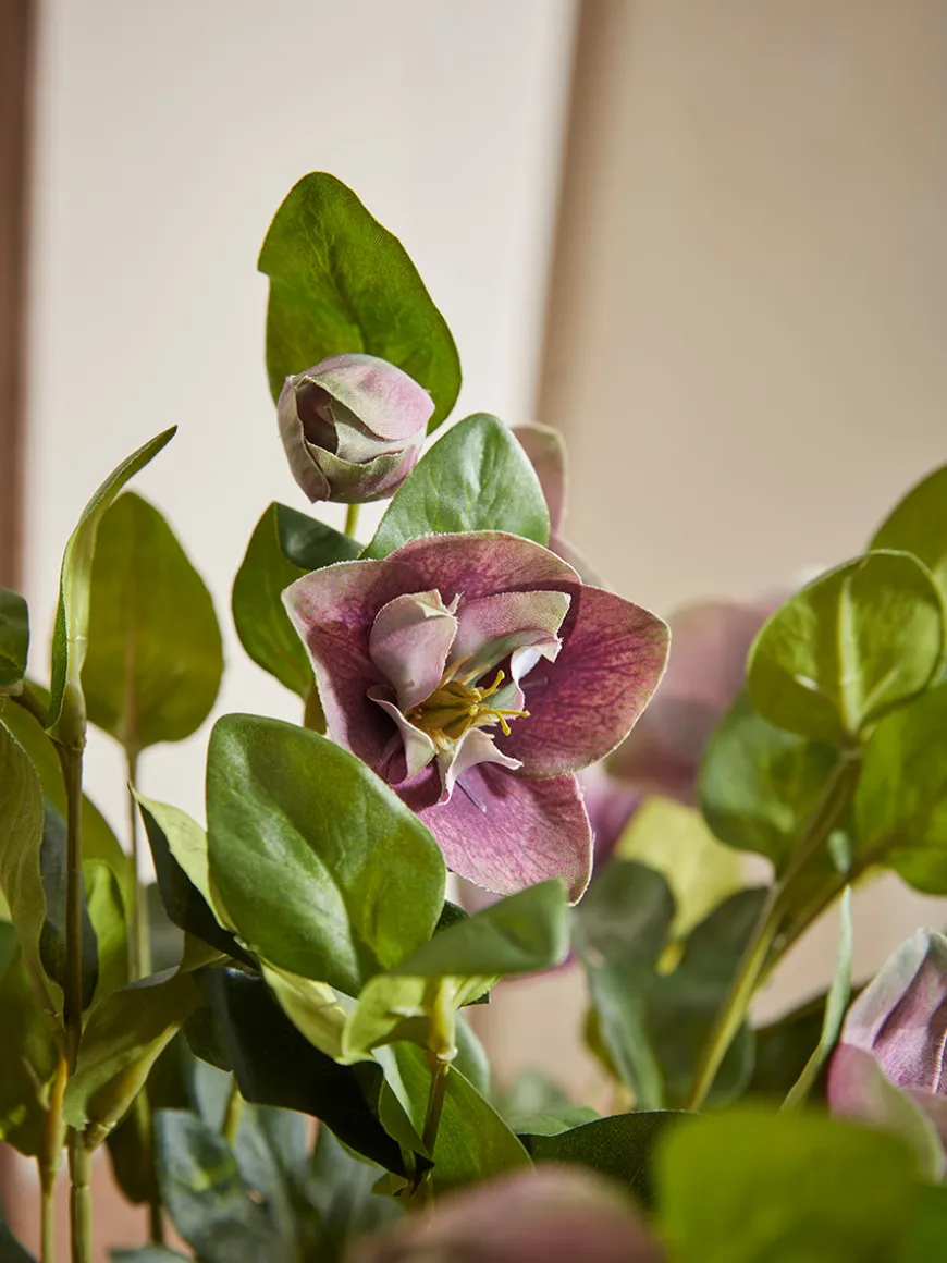 Faux Potted Hellebore - Dusky Mauve