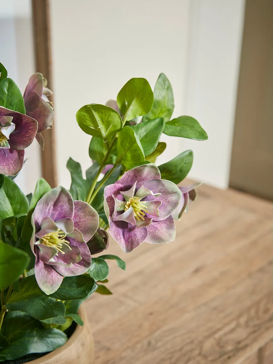 Faux Potted Hellebore - Dusky Mauve