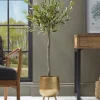 Faux Potted Olive Tree