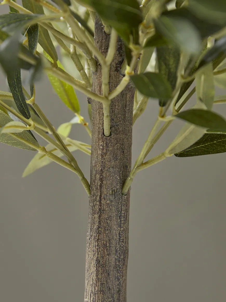 Faux Potted Olive Tree