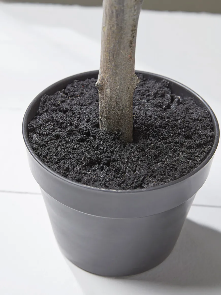 Faux Potted Olive Tree