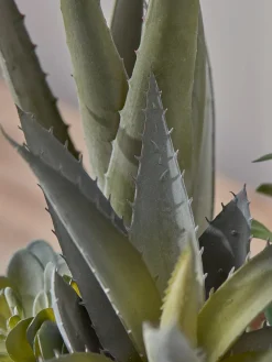 Faux Potted Plants