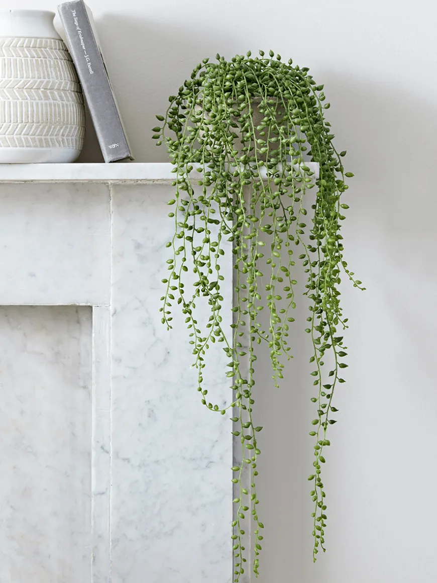 Faux Potted String of Pearls