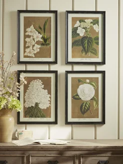 Four Aged Effect Floral Framed Prints