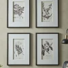 Four Botanical Framed Prints
