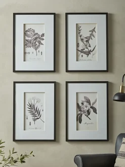Four Botanical Framed Prints