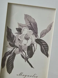 Four Botanical Framed Prints