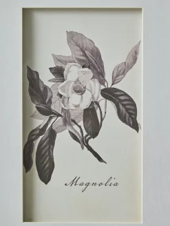 Four Botanical Framed Prints