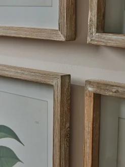 Four Foliage Framed Prints