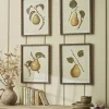 Four Pear Framed Prints