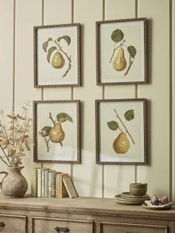 Four Pear Framed Prints