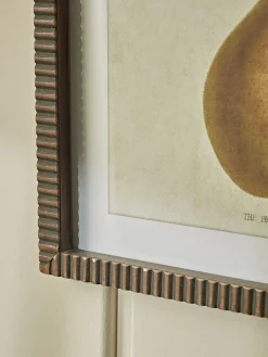 Four Pear Framed Prints