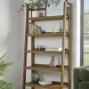 Ladder Bookshelf