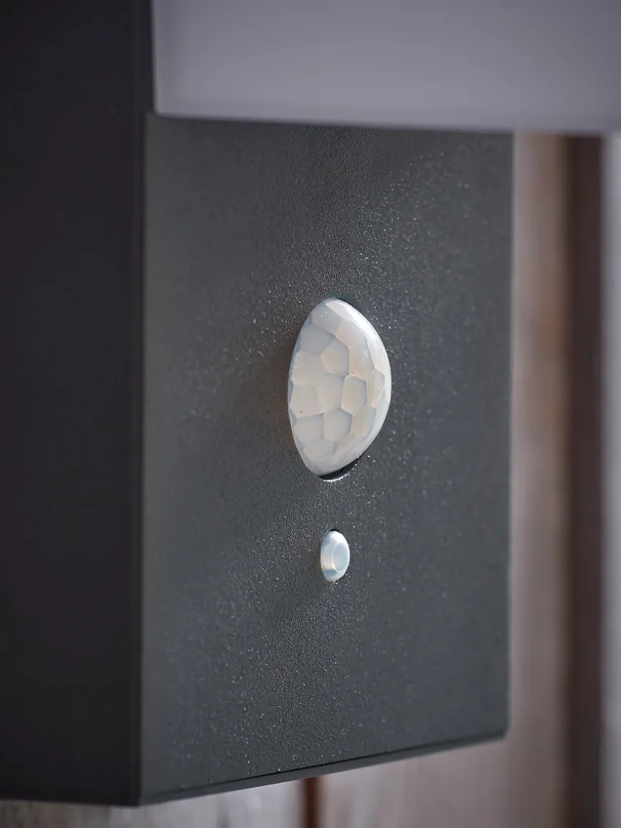 Modern Wall Mounted Solar Light