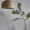 Rattan Dome Pendant