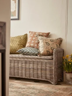 Rayas Cushion