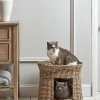 Round Rattan Pet Bunk Bed