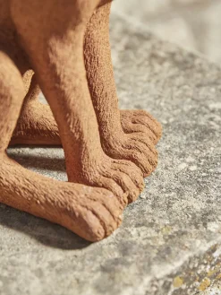Rusty Hare