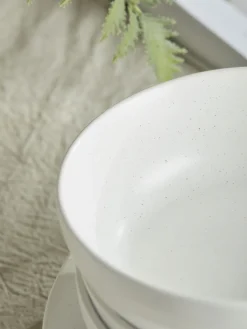 Speckled Dinnerware