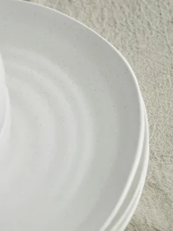 Speckled Dinnerware