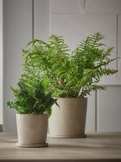 Speckled Glazed Planter & Saucer - Small