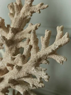 Standing Faux Coral
