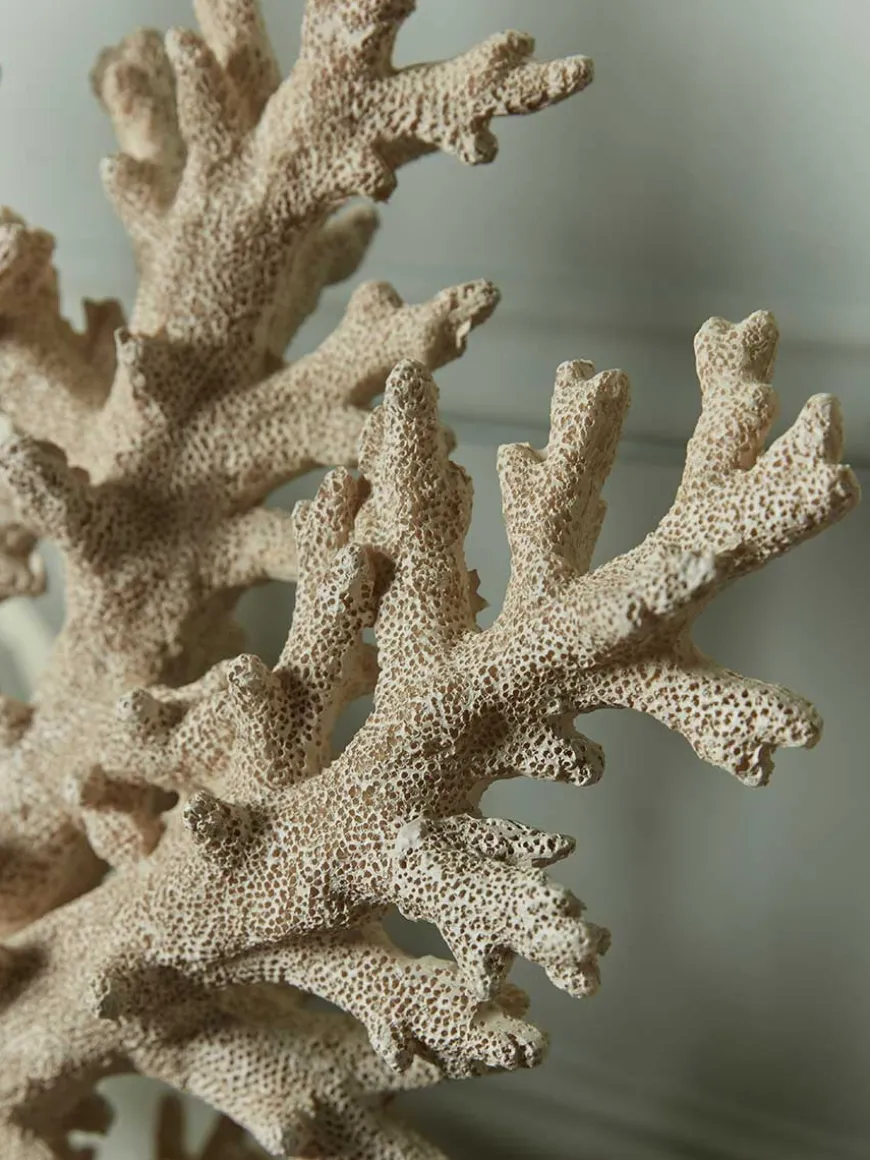 Standing Faux Coral