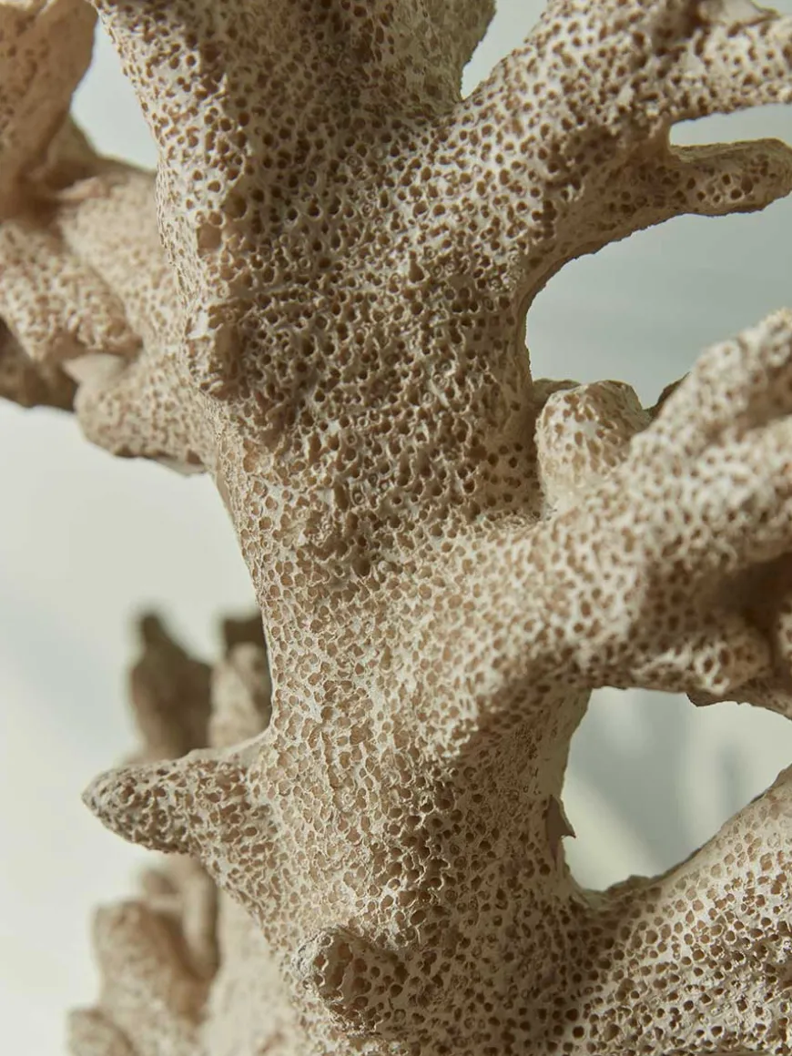 Standing Faux Coral