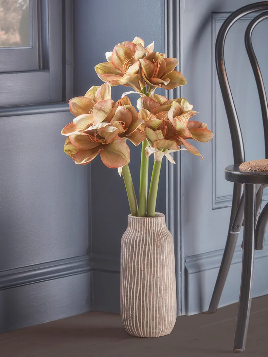 Three Amaryllis Stems